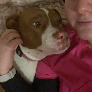 Meet your Posher, Courtney